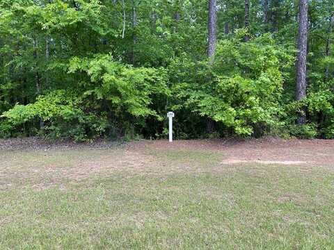 Lot N-17 Captain Johnsons Drive, North Augusta, SC 29860