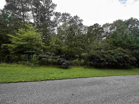 Lot 89 Cobalt Bay Drive, Shirley, AR 72153