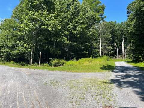 3 Lot 31, CLEAR FORK, VA 24314