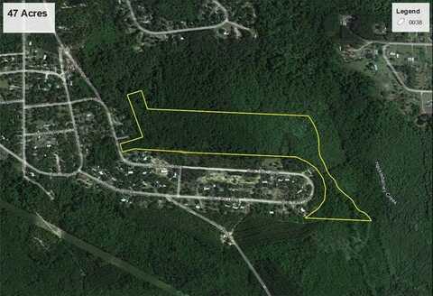 47 +/- Acres Live Oak Lane, Blackshear, GA 31516