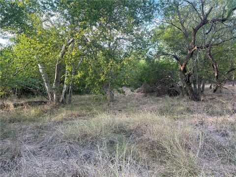 Tbd Flores, Mathis, TX 78368