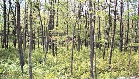 TW Lot 521 Scots Pine Lane, Hazle Twp, PA 18202