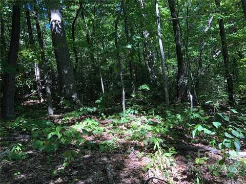 Lot #72 Marshall Ridge Road, Hendersonville, NC 28792