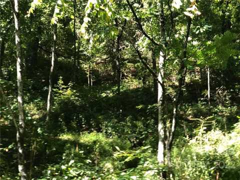 Lot #74 Marshall Ridge Road, Hendersonville, NC 28792