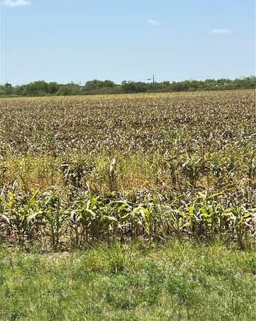 15489 County Road 1726, Odem, TX 78370