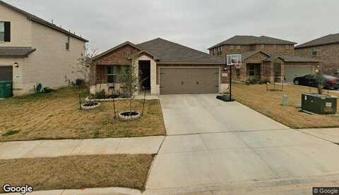 Muscat, SCHERTZ, TX 78154