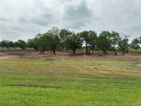 E Hwy 44 x CR 341, Alice, TX 78332