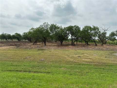 undefined, Alice, TX 78332