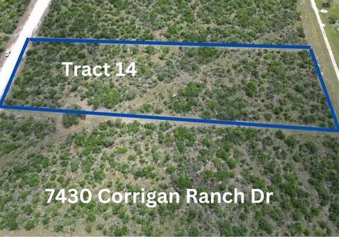 7430 Corrigan Ranch Drive- Tract 14, Skidmore, TX 78389