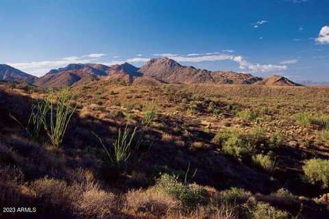 14433 E DESERT TORTOISE Trail, Fountain Hills, AZ 85268