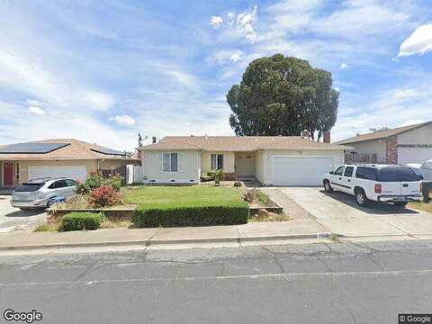 Aster, ANTIOCH, CA 94509