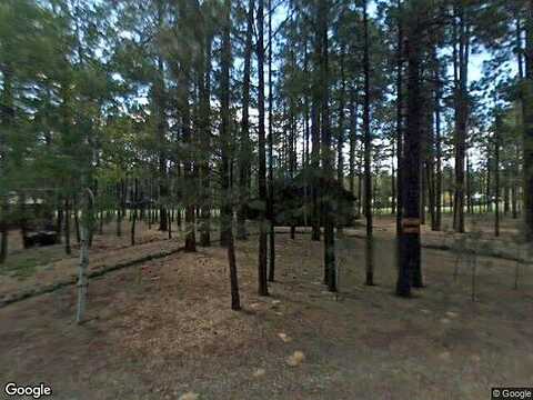 Lake View, PINETOP, AZ 85935