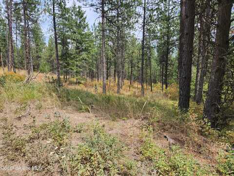 604 Shady Lane, Desmet, ID 83824