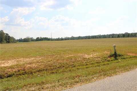 Lot 9 PETERSON Road, Mount Hermon, MS 70450