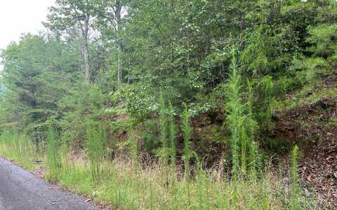 Lot 8 none, Brasstown, NC 28902