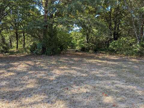 0 Forest Ln, Payne Springs, TX 75156