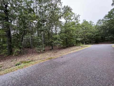 2 Caceres Pl, Hot Springs Village, AR 71909