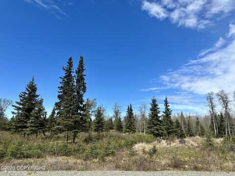 0000 Aspen Avenue, Ninilchik, AK 99639