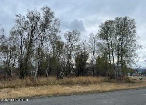 785 W Montana Drive, Palmer, AK 99645