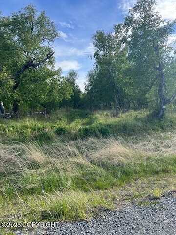 L8 B7 N Cedar Hills Drive, Palmer, AK 99645
