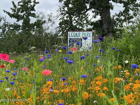 L3 B7 E Blue Atlas Circle, Palmer, AK 99645