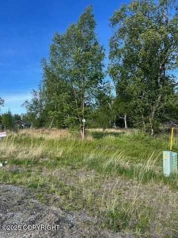 L6 B7 E Blue Atlas Circle, Palmer, AK 99645