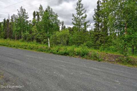 L6a Raven Street, Cooper Landing, AK 99572