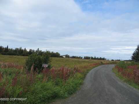 Tr D-2 Corea Bend Road, Clam Gulch, AK 99568