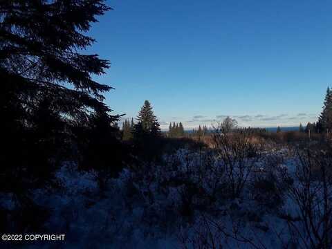 17285 Kimeluk Street, Ninilchik, AK 99639
