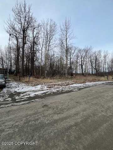 940 S Williwaw Drive, Palmer, AK 99645