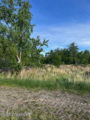 L5 B7 E Blue Atlas Circle, Palmer, AK 99645