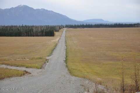 Mile 7 Rapeseed Way, Delta Junction, AK 99737