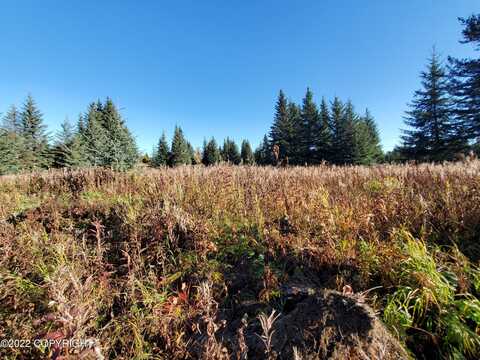 67618 Shavila Road, Ninilchik, AK 99639