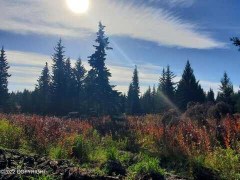 67741 Shavila Road, Ninilchik, AK 99639