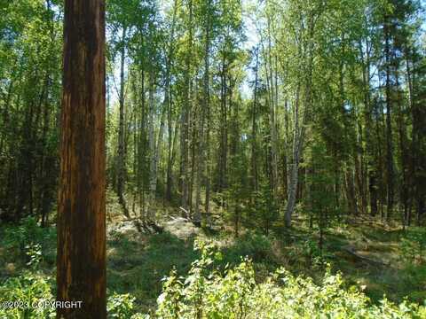 2077 N Meadow Lakes Loop, Wasilla, AK 99623