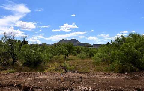 411 Sagebrush Road, Alpine, TX 79830