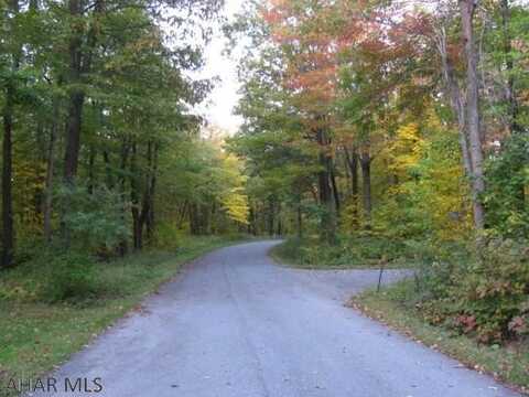 Lot 111 KITTANNING Run, Claysburg, PA 16625