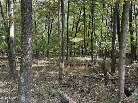 Lot 2 Glade Pike Estates, Manns Choice, PA 15550