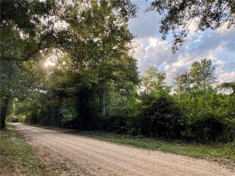 E STATELINE Road, Sandy Hook, MS 39478