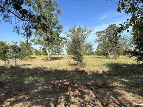 Lot 5 CR 3612, Brownsboro, TX 75756