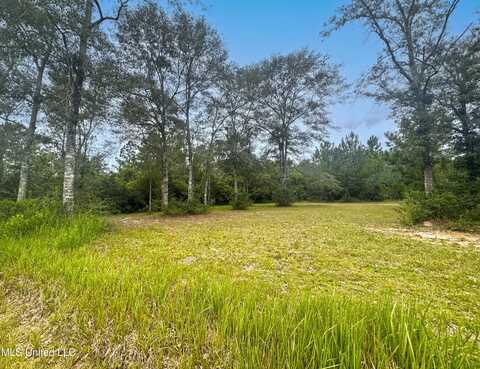 2.88 Acres Morrison Drive, Lucedale, MS 39452