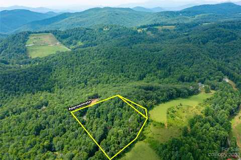 000 Sassafras Drive, Little Switzerland, NC 28777