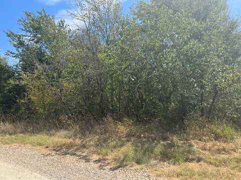 Lot 73 Ravenwood Dr, Trinidad, TX 75163