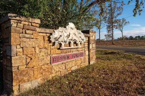Lot 19 & 18 Wildwood Forest Road, Hot Springs, AR 71913