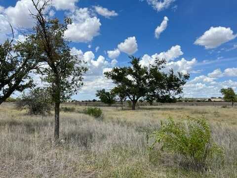 Lot 1 PR 6332, Hamilton, TX 76531