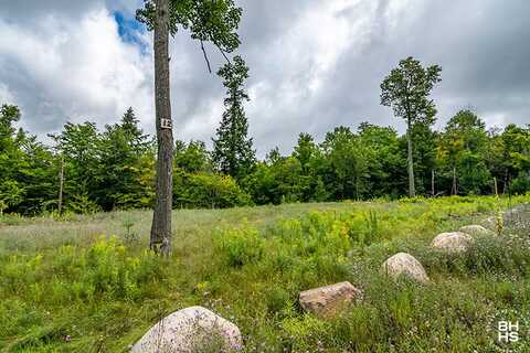 L-12/13/14 Mt Pisgah Park, Saranac Lake, NY 12983