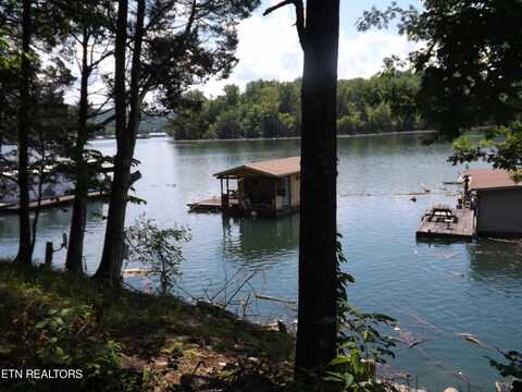 Tbd Lake Hollow Rd, Speedwell, TN 37870