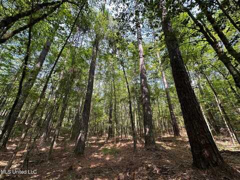 Terry Road, Kosciusko, MS 39090