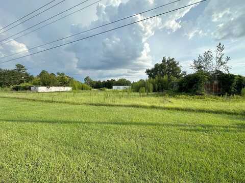 0 Old Highway 84, Ashford, AL 36312