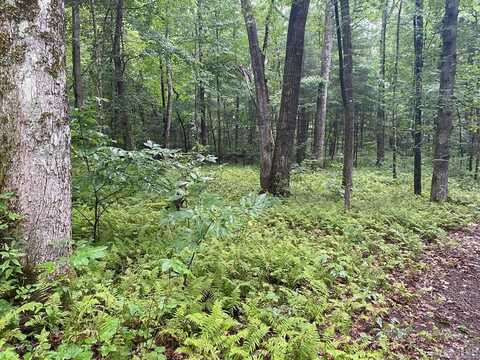Lot 112 Uplands Road, Cashiers, NC 28717